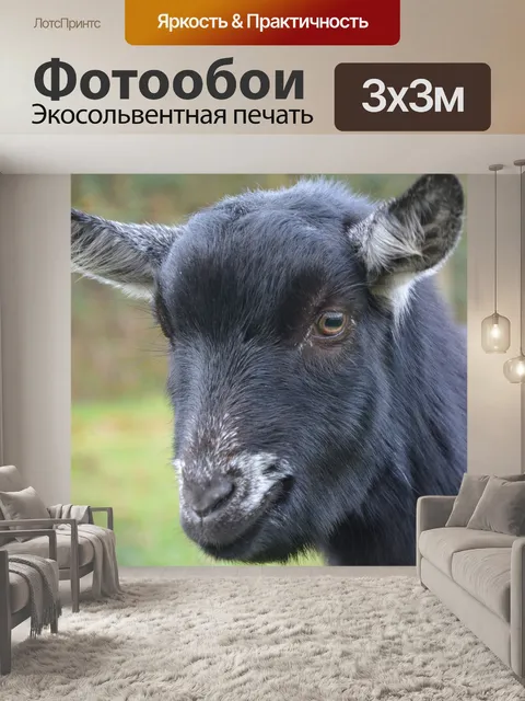 Фотообои Козел