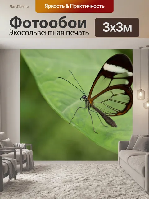 Фотообои Сад бабочек бенальмадена