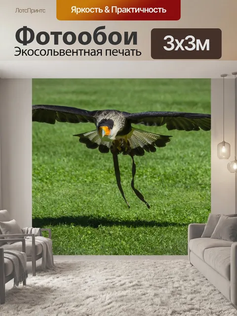 Фотообои Птицы