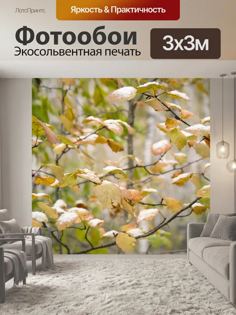 Фотообои Autumn in the forest