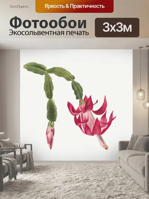 Фотообои Цветущий кактус винтажное искусство
