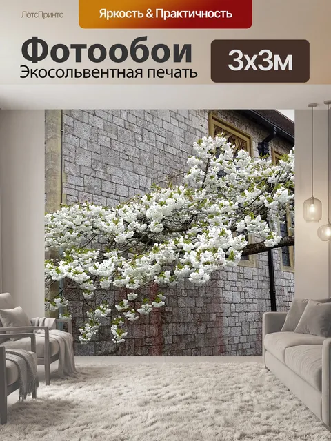 Фотообои Белое цветущее вишневое дерево