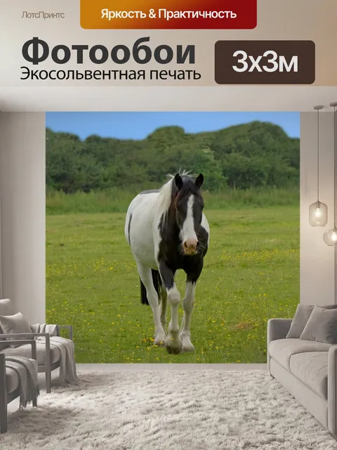 Фотообои Лошадь
