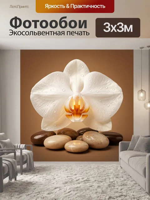 Фотообои Белая орхидея на камнях