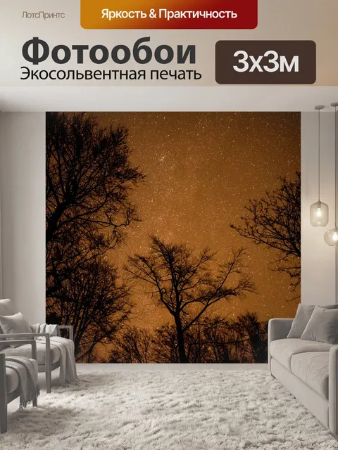 Фотообои Ночное небо