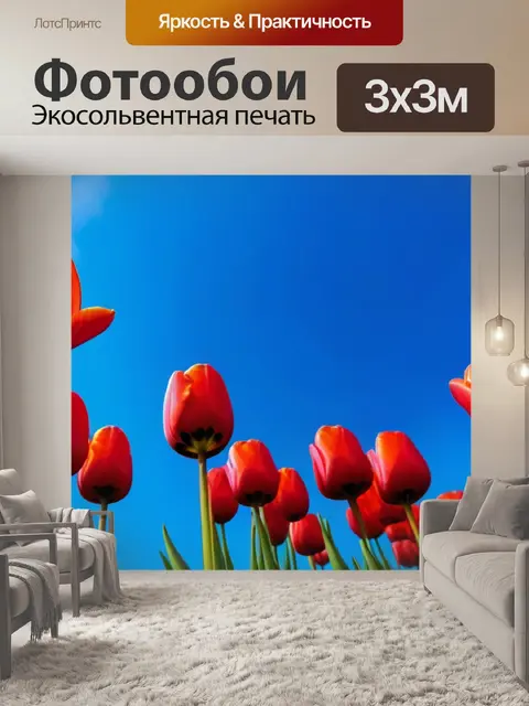 Фотообои красные тюльпаны на фоне голубого неба