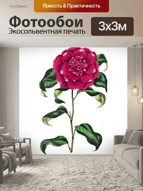 Фотообои Роза пион цветок винтаж