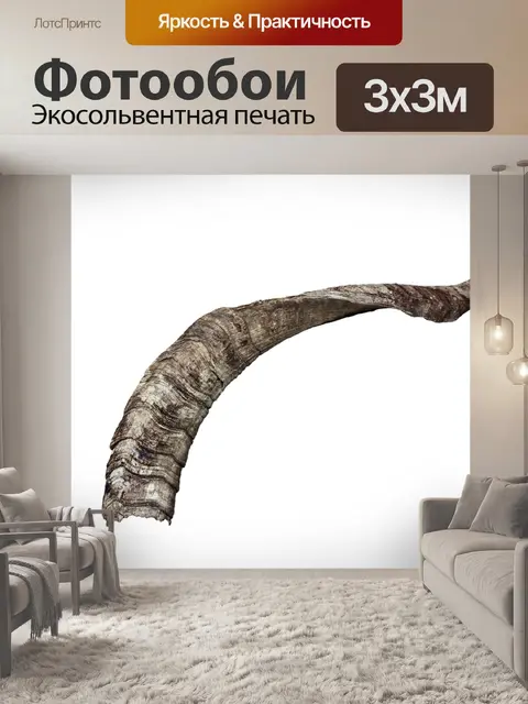 Фотообои Рог