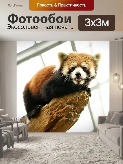 Фотообои Животное