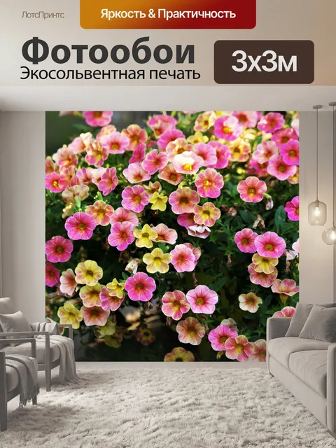 Фотообои Розовые и Желтые Мини-Петунии