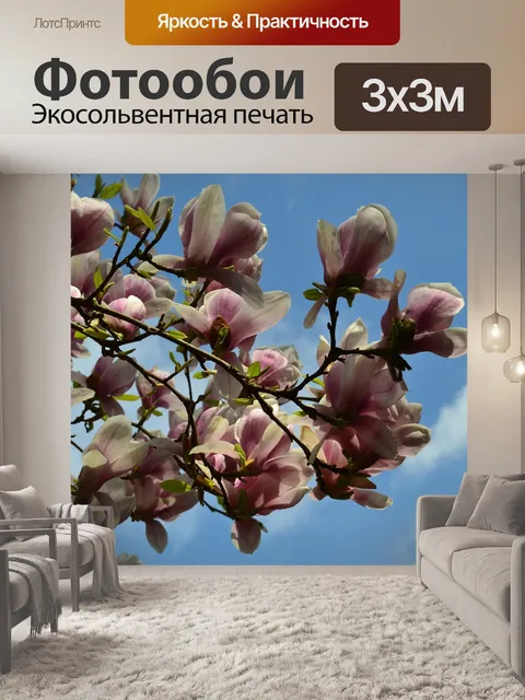 Фотообои Цветы