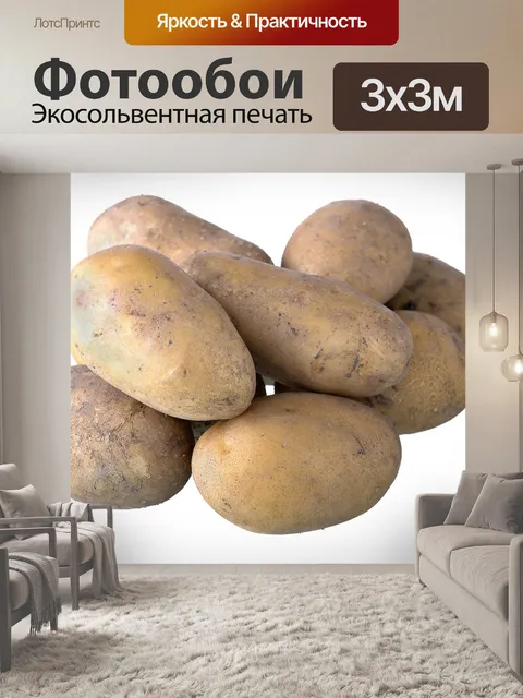Фотообои Fresh