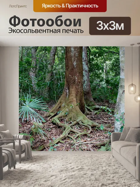 Фотообои Тропический лес