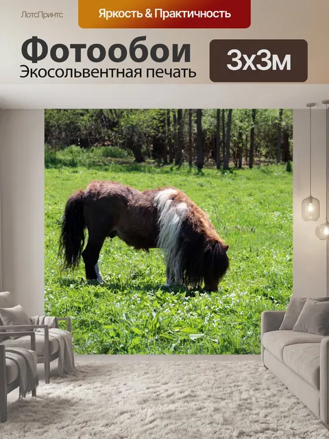 Фотообои Миниатюрный пони Жеребец