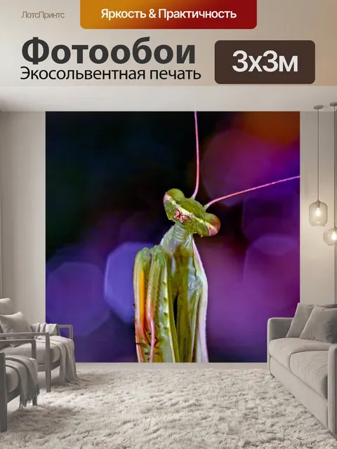 Фотообои Богомол