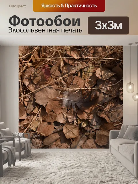 Фотообои Птичье перо среди листьев