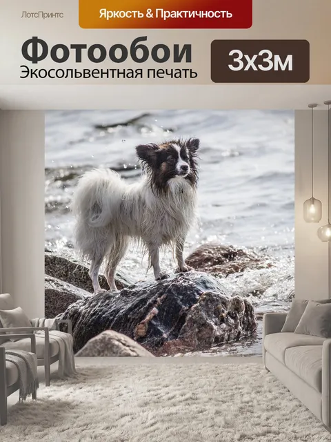 Фотообои Море