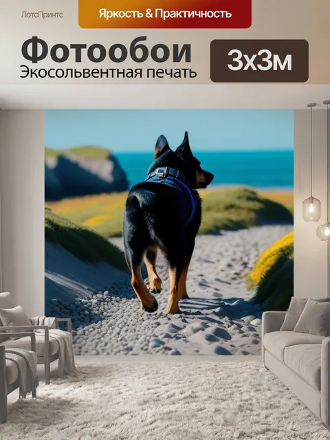 Фотообои прогулка с собакой вдоль побережья