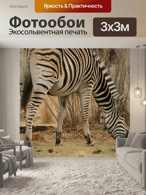 Фотообои зебра выпас