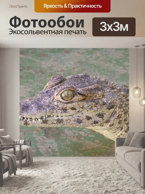 Фотообои Аллигатор