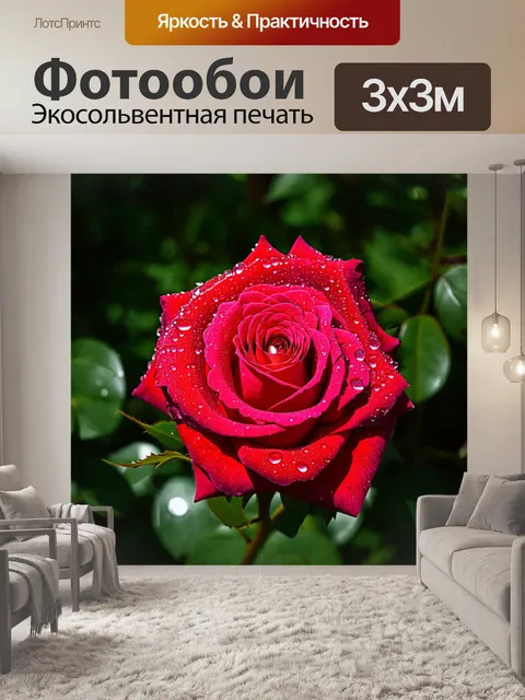 Фотообои роза с каплями росы на лепестках в солнечном свете