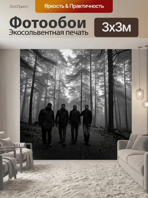 Фотообои туман в стиле рисунок углём, амигос в лесу, окутанном туманом