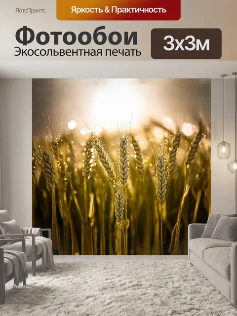 Фотообои пшеничное поле после дождя