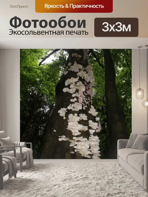 Фотообои Древесный гриб
