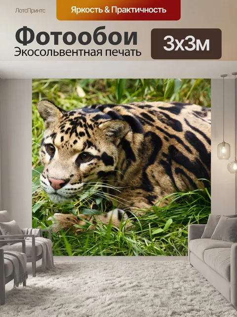 Фотообои Дымчатого леопарда