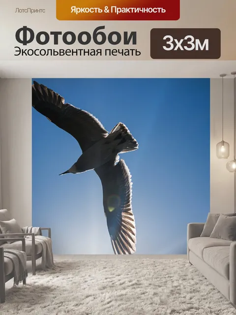 Фотообои Птицы