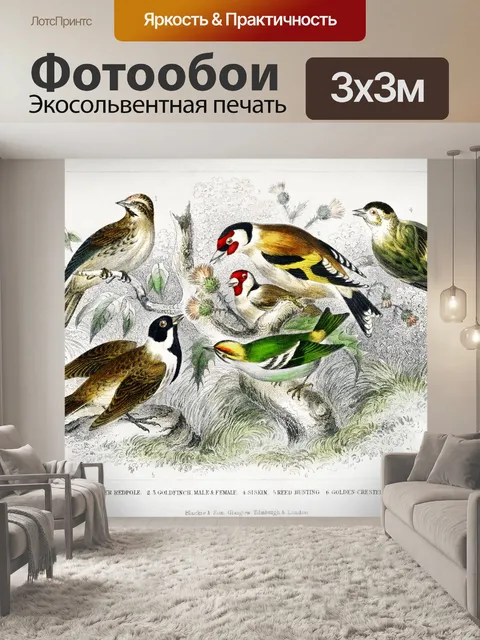Фотообои Птицы зяблики винтаж старый