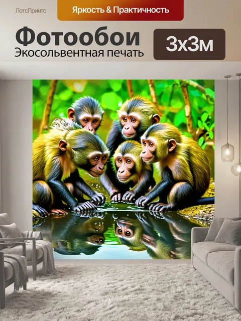 Фотообои группка обезьян капуцинов, собравшихся около водного источника, пьют воду и играют в отражении