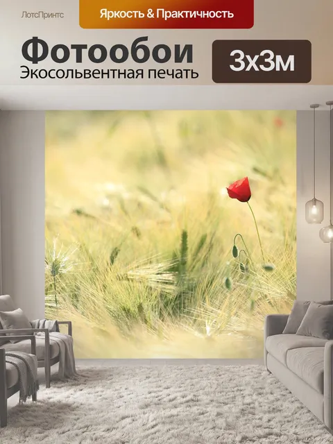 Фотообои Мак