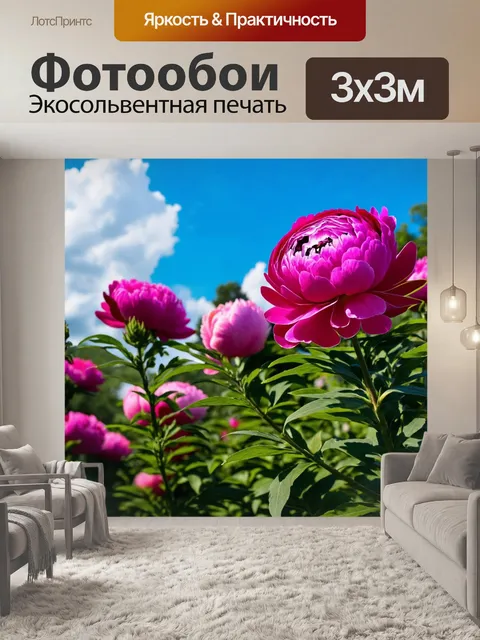 Фотообои пионы, расцветающие в саду, с синим небом и облаками, создающими контраст с их насыщенными цветами