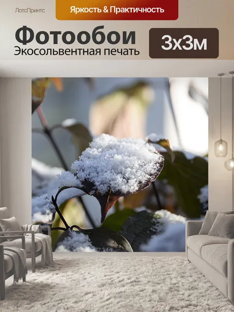 Фотообои Снег