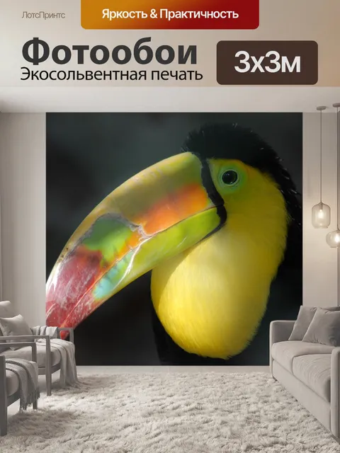 Фотообои Тукан
