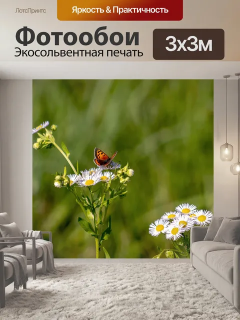 Фотообои Цветок