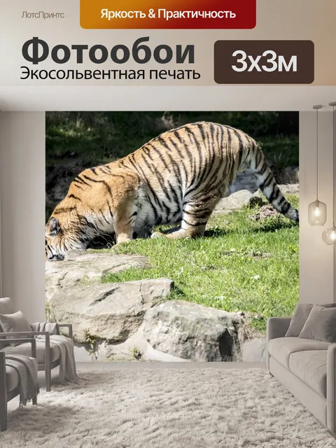 Фотообои Тигр