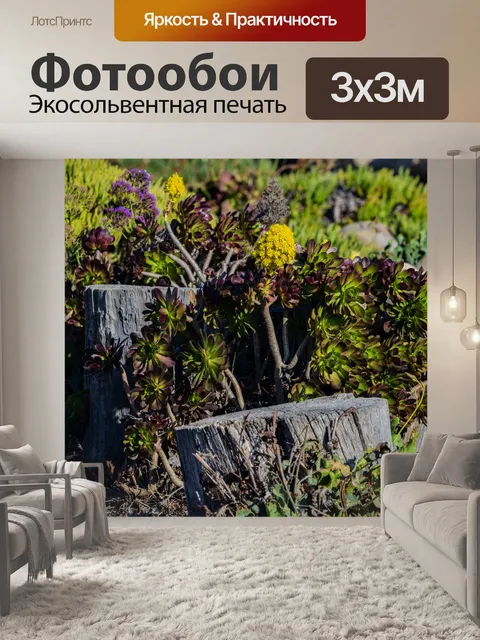 Фотообои пни и суккуленты