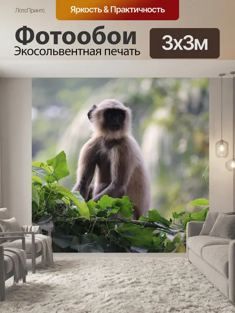 Фотообои Сидит природе обезьяны