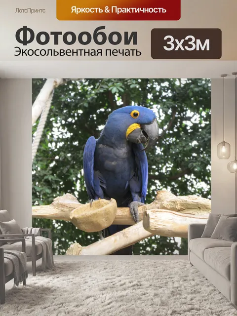 Фотообои Blue Parrot другу