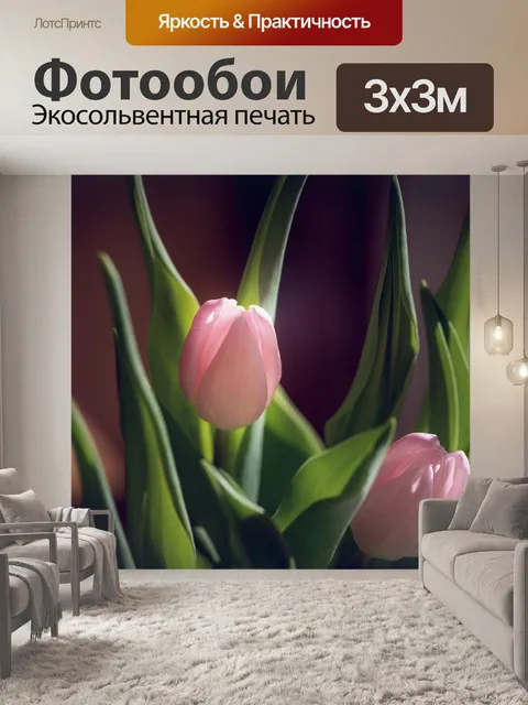 Фотообои Тюльпаны