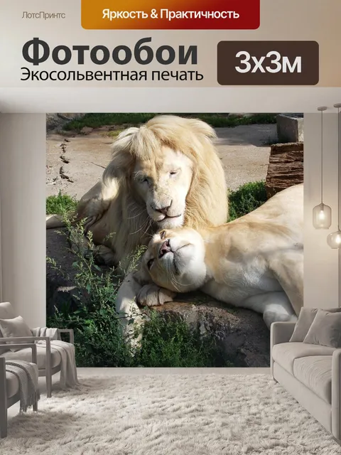 Фотообои Белый лев