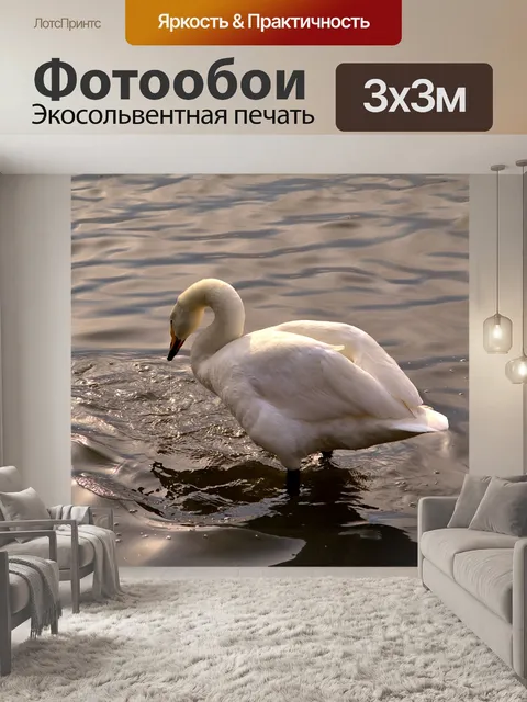 Фотообои Птицы