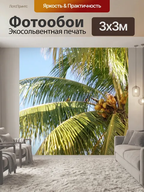 Фотообои Кокос