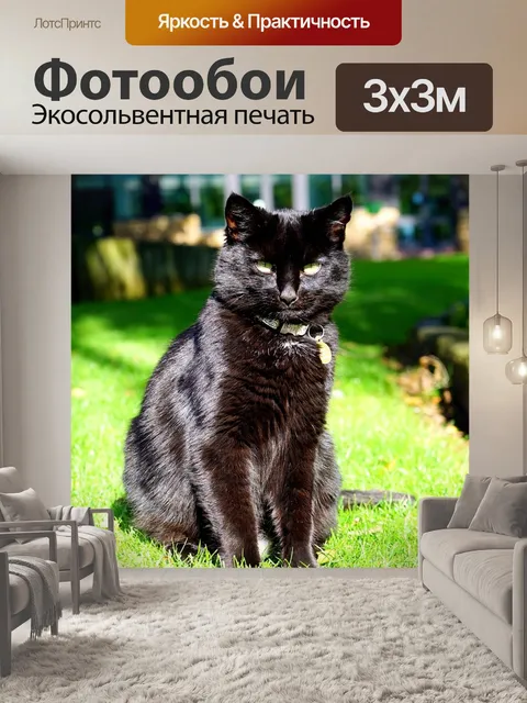 Фотообои Кошка