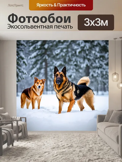 Фотообои овчарка в зимнем пейзаже, играющая в снегу с другими собаками, на фоне снежных деревьев