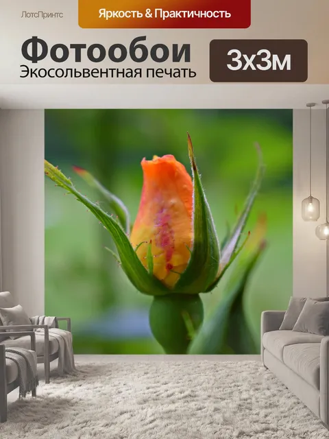Фотообои Природа