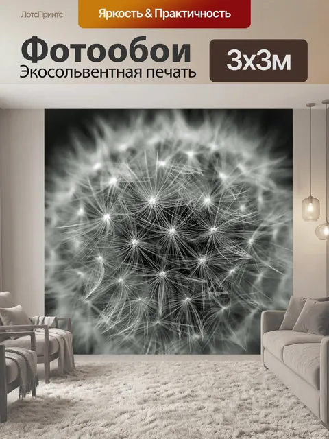 Фотообои Одуванчик