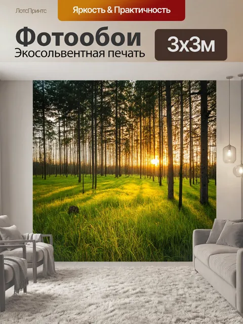 Фотообои уютный лес, стройные деревья, яркая трава, закат над горизонтом, семейная идиллия